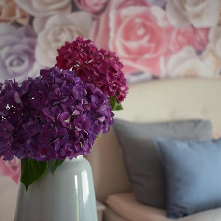 Apartment Rose סאסבאכוואלדן מראה חיצוני תמונה